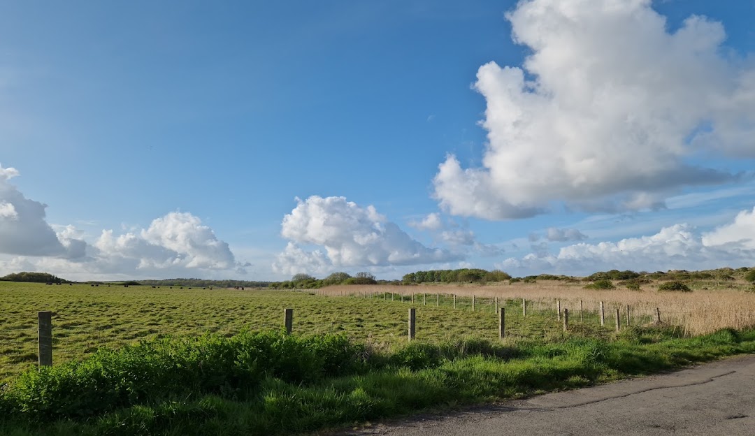 Eshott