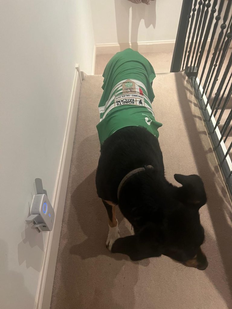 Team mascot