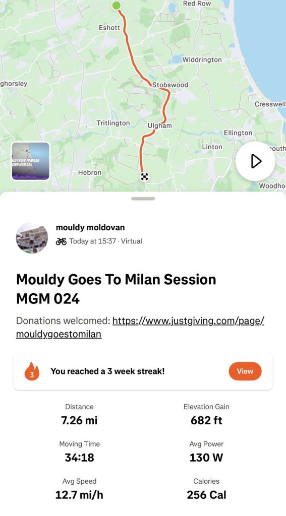 MGM 024