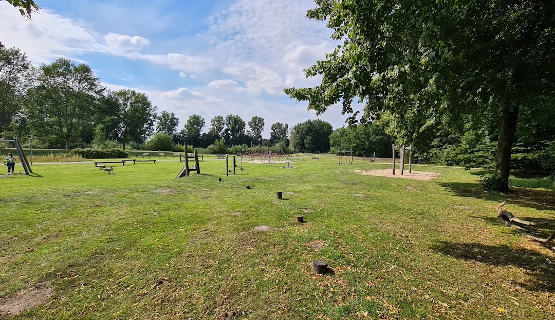 Rijen